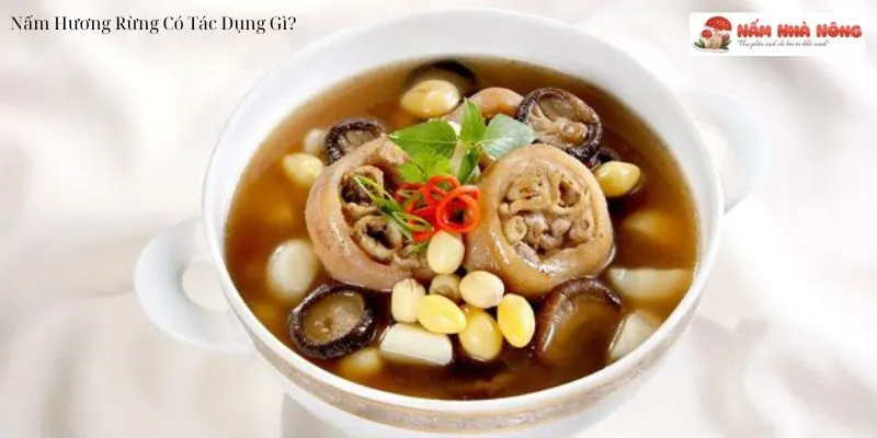 Canh Nấm Hương Rừng Ninh Chân Giò