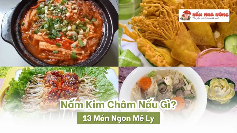 Nấm Kim Châm Nấu Gì?