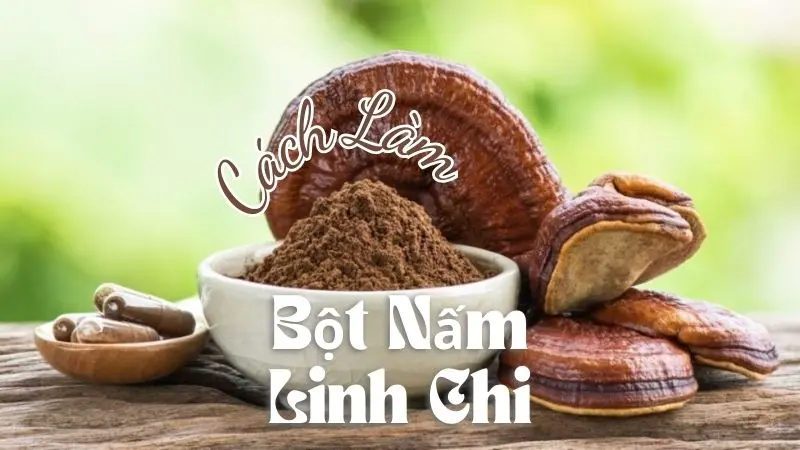 Cách Làm Bột Nấm Linh Chi