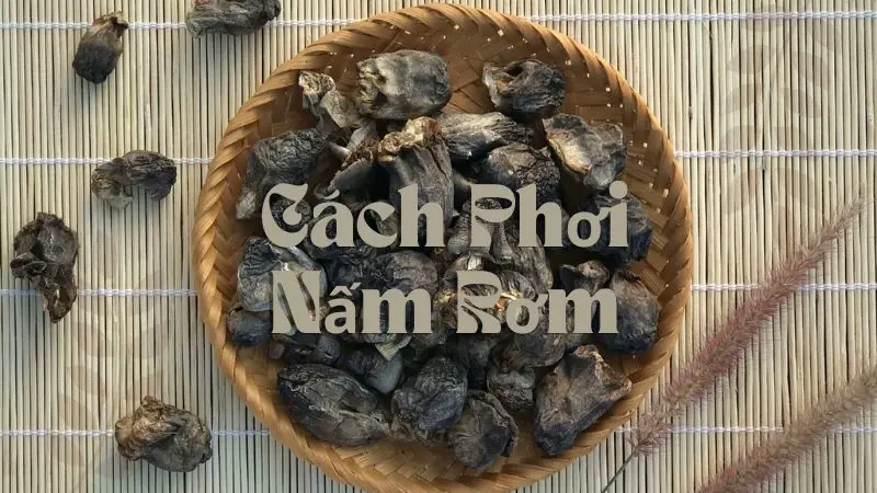 Cách Phơi Nấm Rơm