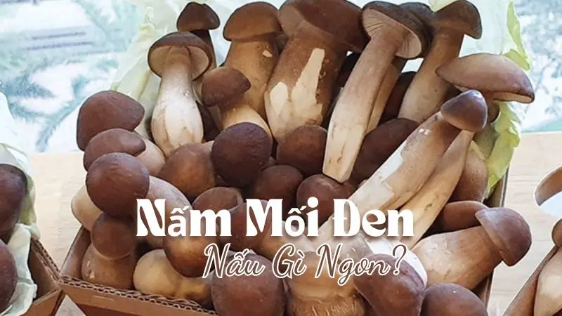 Nấm Mối Đen Nấu Gì Ngon?