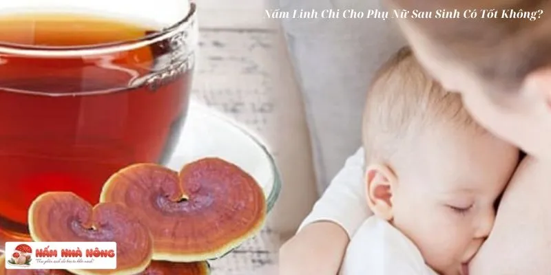 Nấm Linh Chi Cho Phụ Nữ Sau Sinh Có Tốt Không_6