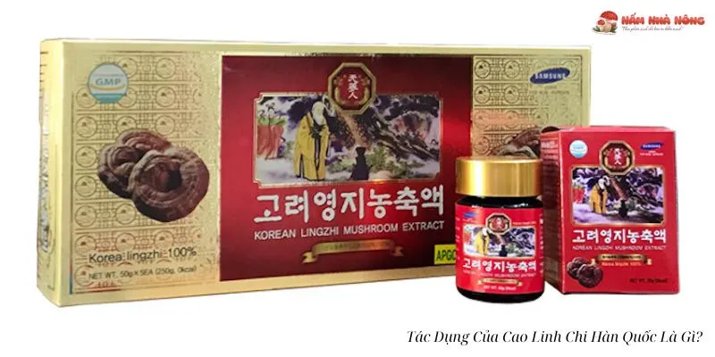 Tác Dụng Của Cao Linh Chi Hàn Quốc Là Gì_4